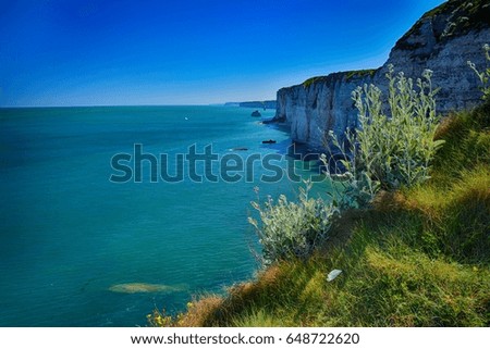 Famous cliffs of Etretat at the Alabaster Coast, Normandy, France