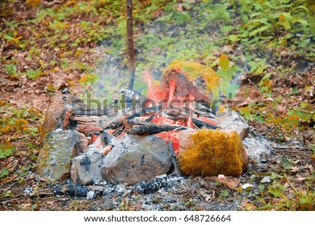 Camp fire on the forest glade. Flame and charcoal between stones.