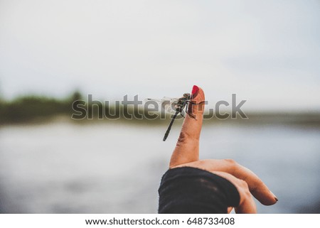 Dragonfly on finger