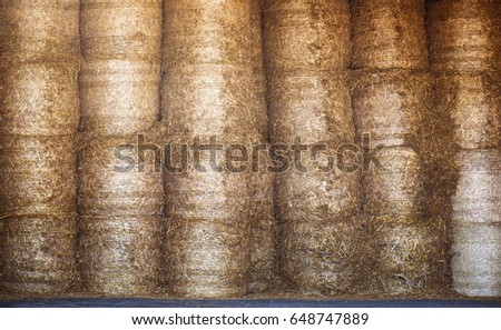 high stock of hay , texture