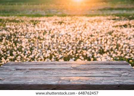 Image of wooden table in front of abstract blurred background. Spring dandelion flowers on the green field.