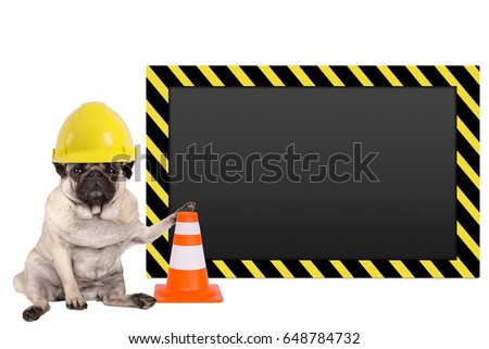 pug dog with yellow construction worker safety helmet and blank warning sign, isolated on white background