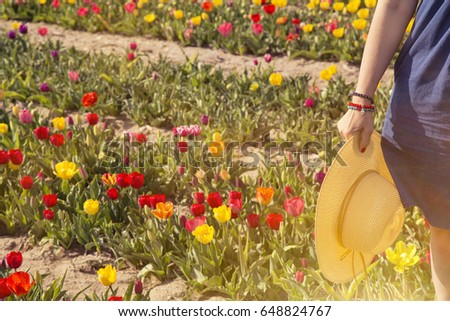 summer sunshine woman hand holding hat. Woman is holding the hat on beautiful blue sky and flower garden background. 