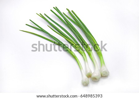 Green Spring Onion Isolated on White Background