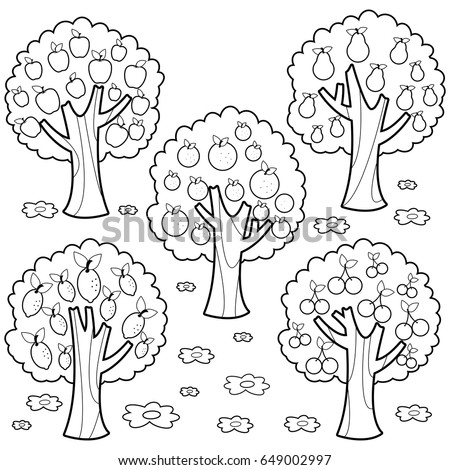 Fruit trees at the farm. Fruit tree orchard or grove. Black and white coloring book page