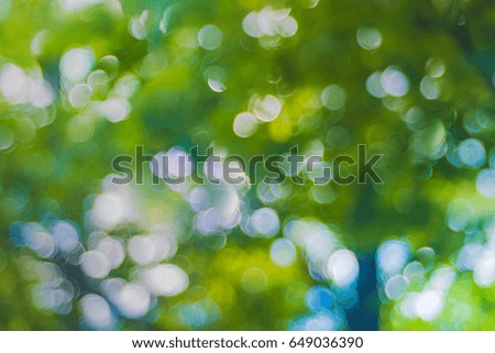 Background beautiful nature- repetition of blurred natural elements of color and abstract forms.
