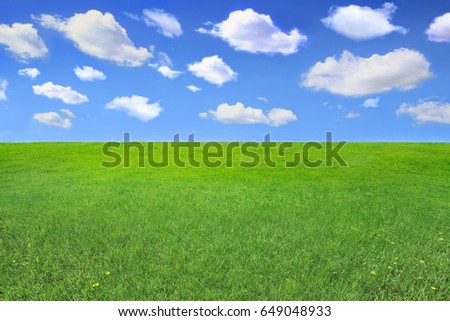 Summer landscape of grass. Background for visualization design project.