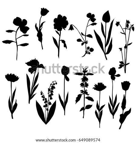 Vector silhouette flowers, rose, tulip, lily of the valley, dandelion, black color, isolated on white background