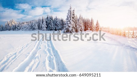 Fantastic winter landscape, road, something leading into the mountains. Frosty sunny day in the mountains. In anticipation of the holiday. Carpathian, Ukraine, Europe. Happy New Year