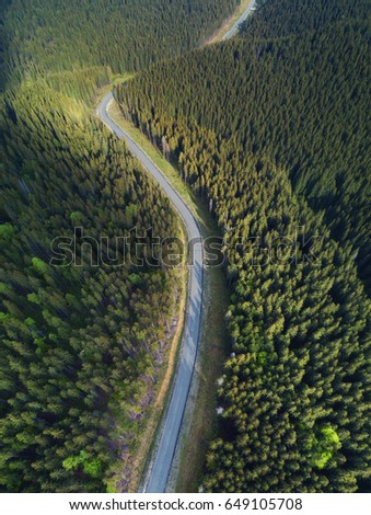 Road in the forest. Natural background from air