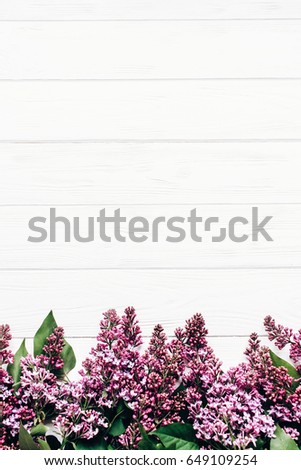 spring flat lay. purple lilac flowers on white rustic wooden background flat lay. top view of blooming in light with space for text. hello spring. banner and border