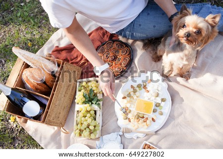 Picnic on the grass near river on lazy summer day. Young smiling woman with small dog relaxing on nature