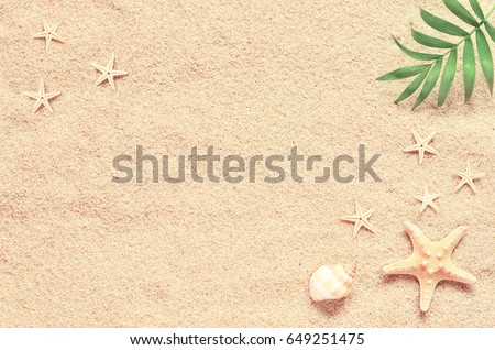 Sea sand with starfish and shells. Top view with copy space. Royalty-Free Stock Photo #649251475