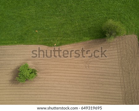 Aerial view of agricultural field and trees