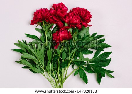 Fresh peonies on white wooden background
