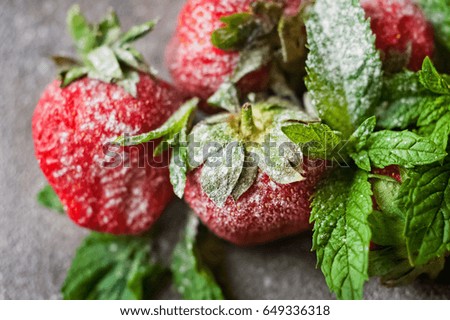 Strawberries with mint and powdered sugar on a concrete background. Bright, juicy, summer strawberry macro