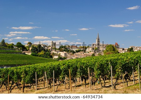Prestigious vinyard of Saint Emilion, France Royalty-Free Stock Photo #64934734