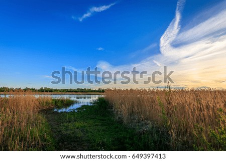Scenic view of beautiful sunset above the pond at summer with cloudy sky background and grass at foreground.