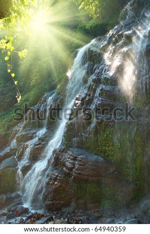 Waterfall in the forest surrounded by green trees