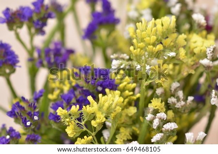 Bouquet of colorful spring flowers over a white background.
