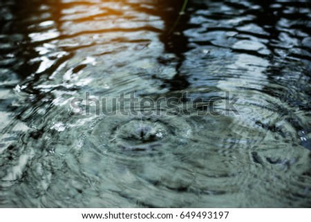 Water surface with rain reflection at sunset.