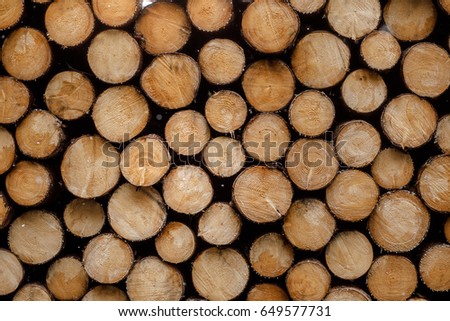 the texture of the logs in the woods, forest, winter, nature, Wallpapers