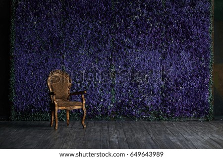 Wall of flowers in the studio and chair. Studio. Wall of flowers