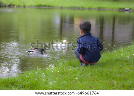 Blurred background of The asian Boy feeding ducks in the Pond in Netherlands

 Royalty-Free Stock Photo #649661764