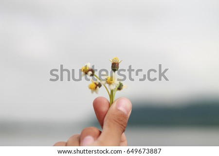 Give flowers to nature