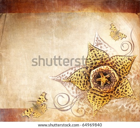 Grungy background with stapelia flower