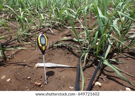 soil meter for measured 4 indicator in the soil including PH, Lux meter, temperature, Moisture in the sugarcane field which use dripping irrigation water system