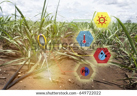 soil meter for measured 4 indicator in the soil including PH, Lux meter, temperature, Moisture in the sugarcane field which use dripping irrigation water system