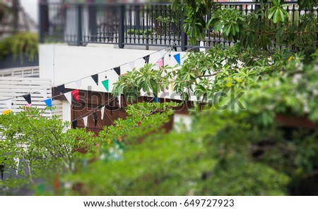 Green Plants On Rooftop Garden, stock photo
