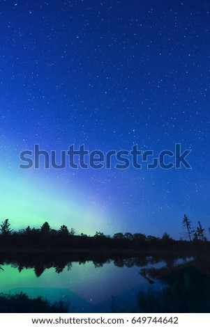 Night sky full of twinkling stars and arching green and pink northern lights reflecting in calm water, trees silhouetted