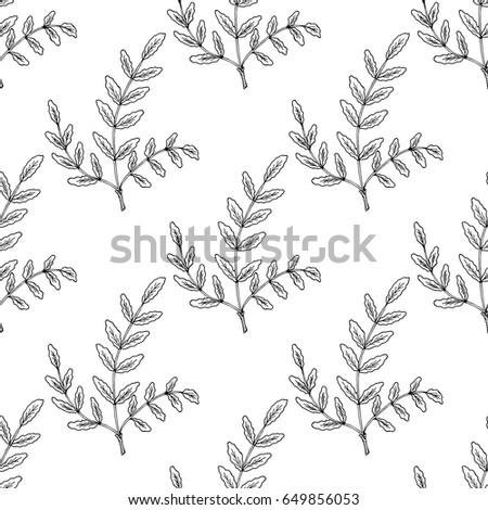 Indian Frankincense Salai or Boswellia serrata vintage illustration.Olibanum-tree (Boswellia sacra), aromatic tree. Ink hand drawn herbal illustration. Seamless pattern.
