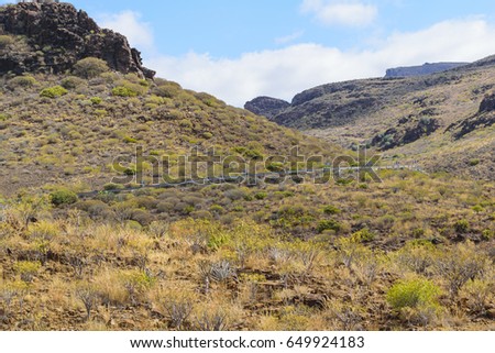 Typically environment with the mountains on grand canary with volcanic rock and a lot of abundant vegetation such as blue sky.