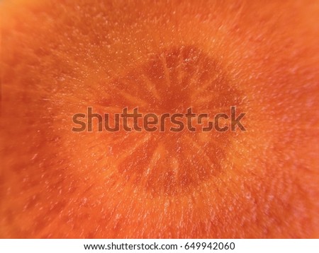 Closeup on carrot sliced, Surface of carrots.