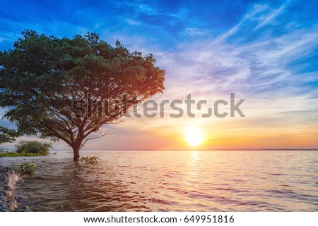 Sunset with tree  reflection in a lake at Ubonrat dam, Khon Khan city, Thailand.