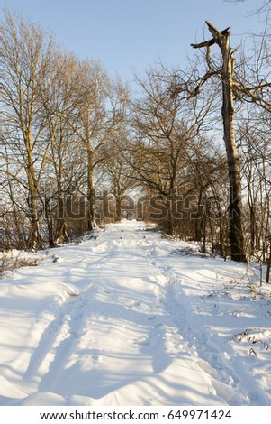  a picture taken in winter after snowfall on a small rural road. Snow on the ground