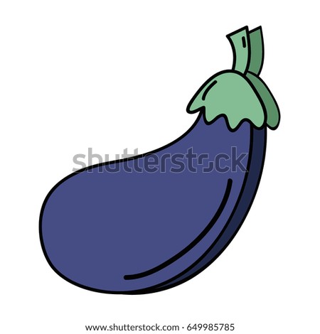 delicious fresh eggplant organic vegetable