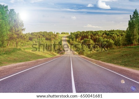 Road with trees in summer