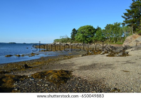 Maine island beach with rocks and seaweed along the coast.
