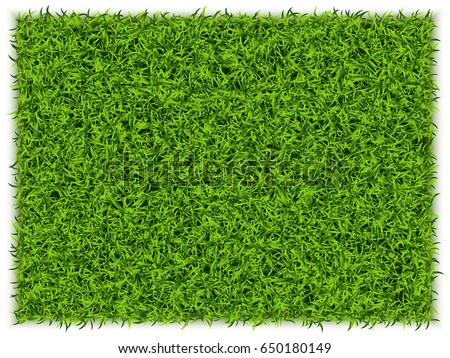 Green Grass Rectangle Background. Eco Home Concept. 3d Vector Illustration Royalty-Free Stock Photo #650180149