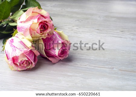 Bouquet of roses on a wooden texture with shallow depth of field as a background