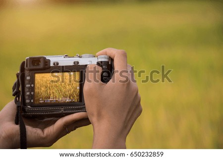 Young beautiful female tourist taking a photo with her camera at the rice field in vacation.