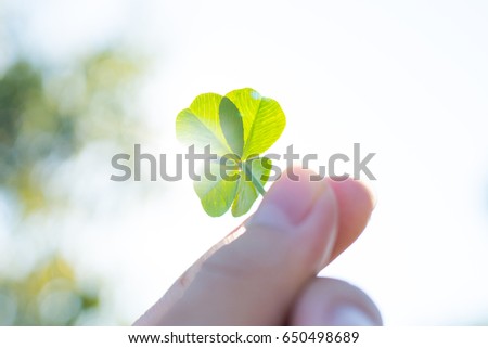 Four leaf clover and blue sky