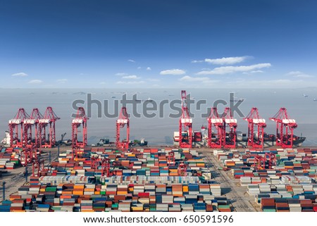 ocean container terminal in shanghai international shipping center