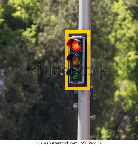 Traffic light on the road in the city