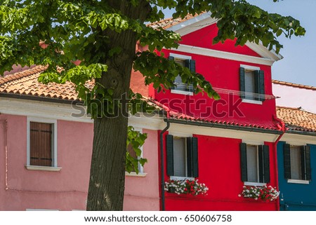 Close-up of colorful houses with flowers in the center of Burano island, Italy