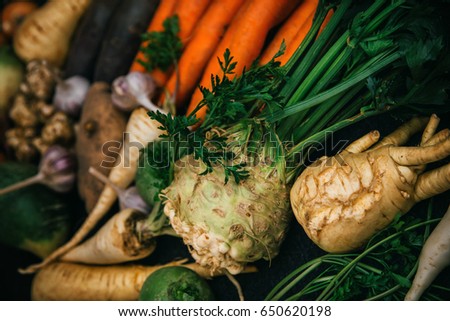 Root crops, carrots, parsley root, turnip, onion, garlic, Jerusalem artichoke, horseradish. Root crops background. Food background Royalty-Free Stock Photo #650620198